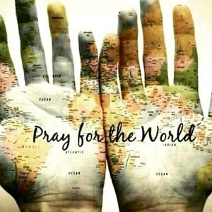 Meet your Posher, Steph